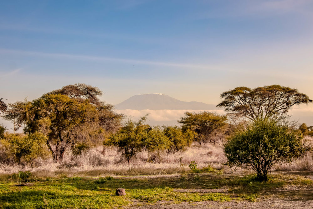 Kilimanjaro
