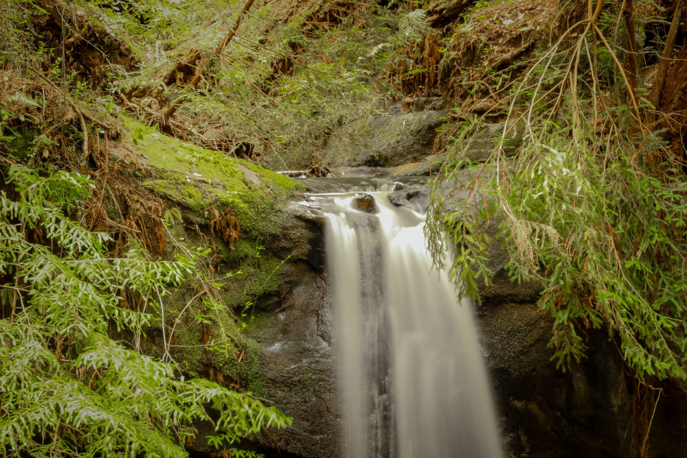 4 Redwood Waterfall